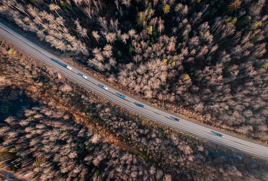 Ленинградская область, Гостилицкое шоссе
